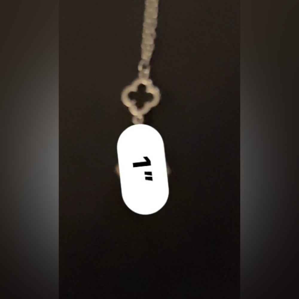 Petoskey Stone Diamond ♦️ Shaped Necklace - Picture 9 of 12
